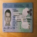 Buy Canadian Driver License