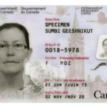 buy canadian permanent residence, buy fake passport online